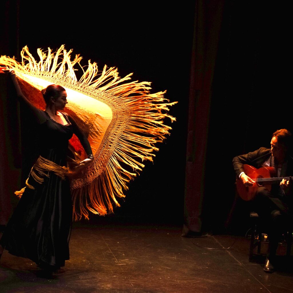 Flamencodanza